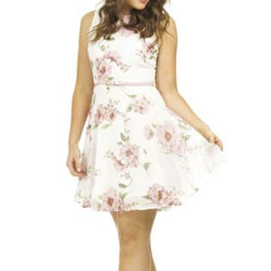 NWT Ivory Floral print chiffon dress